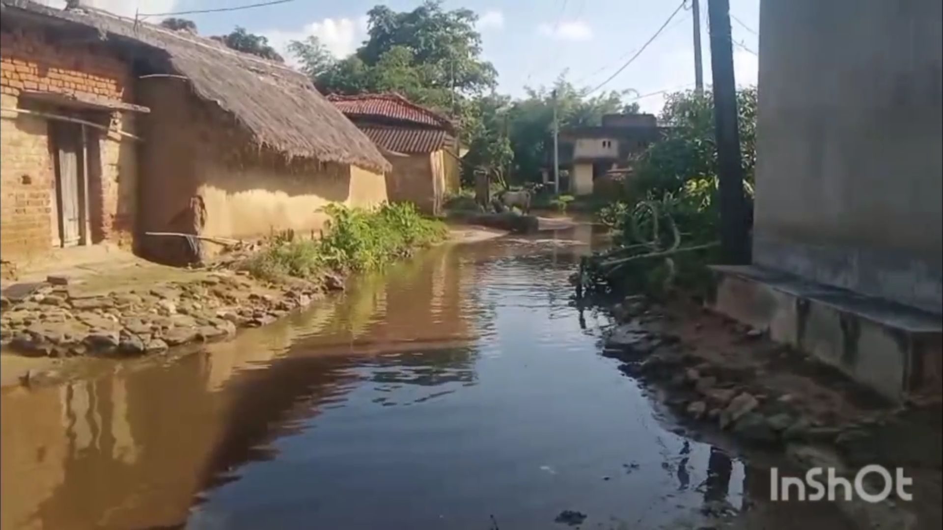 विकास के दावे खोखले: झारखंड के गांव में आज भी जलजमाव की समस्या बरकरार