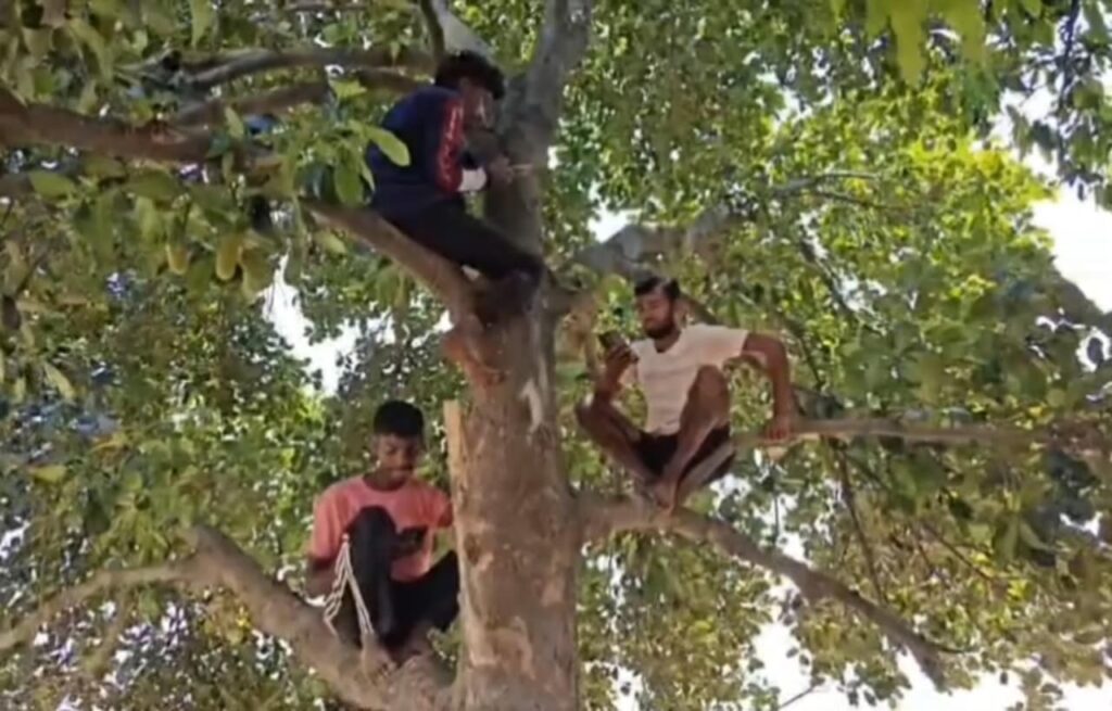 डिजिटल इंडिया का जश्न 5G नेटवर्क की रफ्तार से मना रहा है, लेकिन झारखंड के पहाड़ी-जंगली इलाकों में सैकड़ों गांव आज भी मोबाइल सिग्नल के लिए तरस रहे हैं।